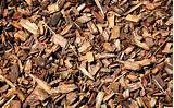 Mulch Chips Wood Pictures
