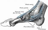 Foot Pain In Heel And Side Of Foot Images