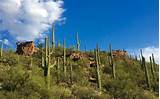 Parks In Tucson Arizona Pictures