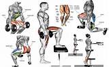 Photos of Muscle Workouts Using Dumbbells