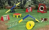 Pictures of Dogs Playground Equipment
