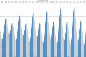 rocky point logan river tides 7 day tide times tidetime org