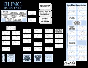 Hospital Organizational Chart Examples Unique Hospital Organizational