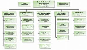 Organization Chart For The Center For Public Health And Environmental
