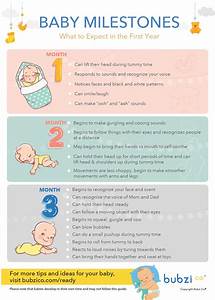 An Amazing First Year A Monthly Chart Of Baby S Important Milestones
