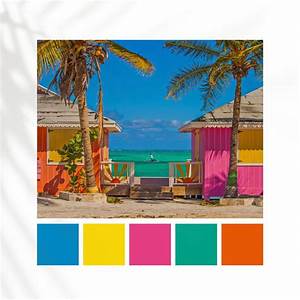 Caribbean Colour Palette Color Palette Bright Beach Color Palettes