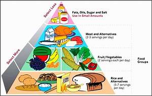 20 Pie Chart For Balanced Diet Balanced Diet Chart Vitamins For Kids