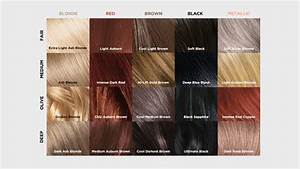 Our L Oréal Paris Superior Preference Hair Color Chart Chart Color