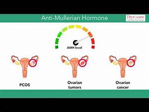 Anti Mullerian Hormone A Reproductive Link Youtube