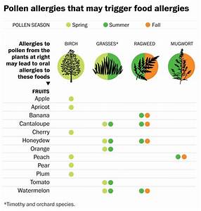 Must Read Wapo Article On Allergy Syndrome Snacksafely Com