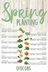 Sow What Helpful Tips On When To Start Planting Seeds In Ohio For The