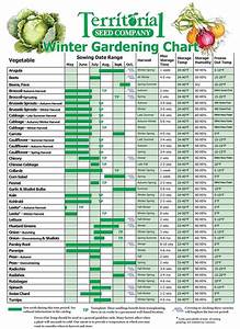 Winter Garden Chart Fall Garden Vegetables Garden Layout Vegetable