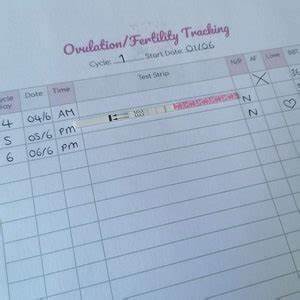 Printable Ovulation Ttc Fertility Pregnancy Tracking Sheets Instant