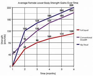 Average Female Strength Gains Over A Six Month Period Gain Strength