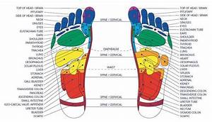 Foot Diagram Bottom