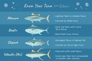 Know The Differences Between Different Types Of Tuna Tuna Health