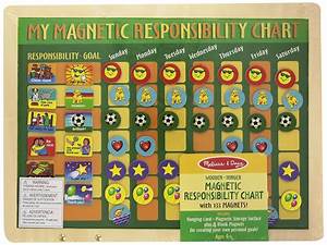  Doug 13789 My Magnetic Responsibility Chart Ebay