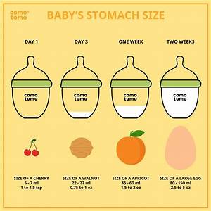 How Big Is A Baby S Stomach Baby Stomach Size Baby 