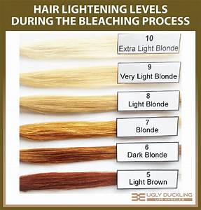 How To Color Hair Professionally 15 Steps You Need To Get Right Ugly