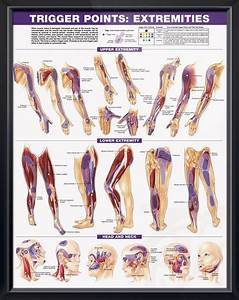 Two Posters Show Trigger Point Locations With Primary And Secondary