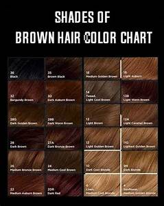 Medium Brown Hair Color Chart 38 Fabulous Dark Brown Hair Color Ideas