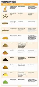 Vet Approved Cat Stool Chart Decoding Your Cat 39 S Cats Com