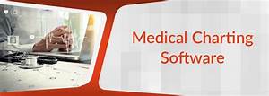 An Overview Of Medical Charting Software Selecthub