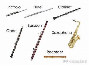管弦乐队中的木管乐器都有哪些 知乎