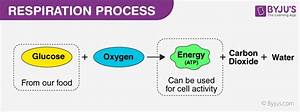 What Happens In Aerobic Respiration Olympiapublishers Com