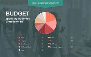 Budget Pie Chart Infographic Template Visme