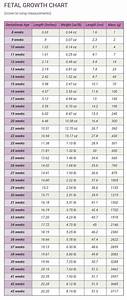 Peso Pluma Birth Chart