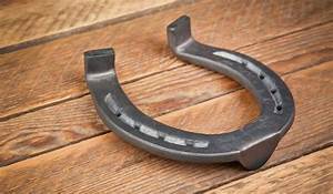 Types Of Horseshoes Helpful Horse Hints