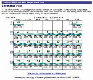 speckled truth how to read a tide chart