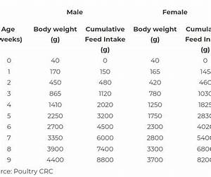 Expected Weight Of Broiler Chicken Are You Getting It Right Poultry