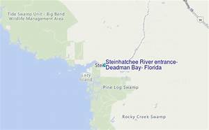 Steinhatchee River Entrance Deadman Bay Florida Tide Station Location