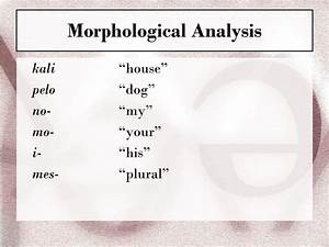 Ppt Ch 1 Morphology The Words Of Language Powerpoint Presentation