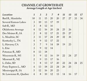 Channel Catfish Weight Chart