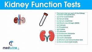 Kidney Function Tests And Interpretation Of Results Youtube