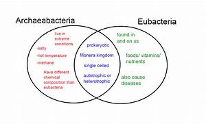Archaea Vs Bacteria Venn Diagram