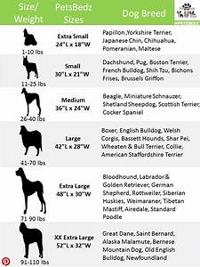 Dog Bed Size Chart Because Every Dog Large And Small Deserves A