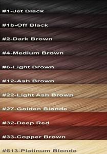 Color Chart Of Human Hair Hair Color Chart Hair Chart Brown Hair