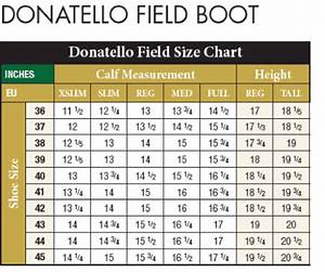 Tredstep Donatello Ladies Field Boot Statelinetack Com