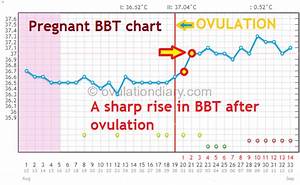 Why Is Bbt Rising After Ovulation Charts Ovulationdiary Com