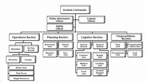 Ics Basic Organization Chart Ics 100 Level From Fema Incident