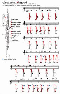 ᐈ Oboe Guía Práctica Historia Partes Cómo Tocar Mantenimiento Y Más