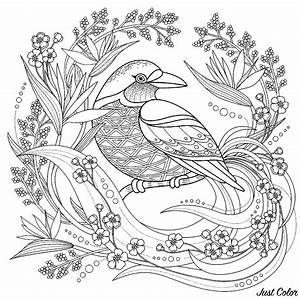 Bird With Floral Elements Birds Coloring Pages