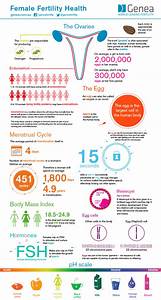 The Canadian Housewife Ciaw Fertility Infographics
