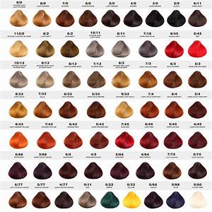 Hair Color Chart Pieces Hair Color Chart Hair Color Names Different