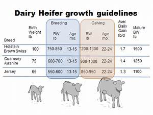 Feed Costs The Bullvine The Dairy Information You Want To Know