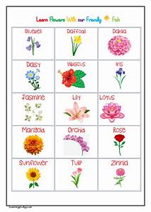 Flowers Name Chart In English Learningprodigy Charts